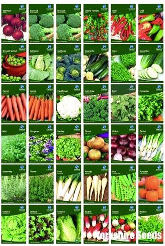 Garden treasures fresh herbs - garden,