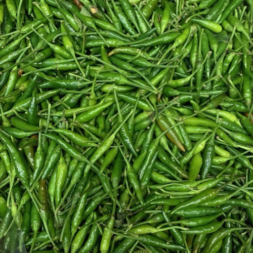 Green bird eye - bird, chillies