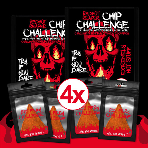 Chip challenge worlds - chip,