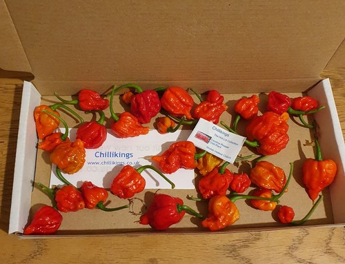 50g fresh small - 50g, carolina