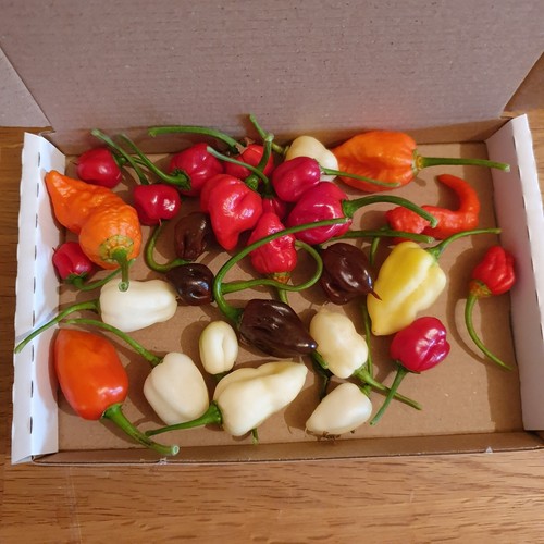 60g fresh rare - 60g, fresh,