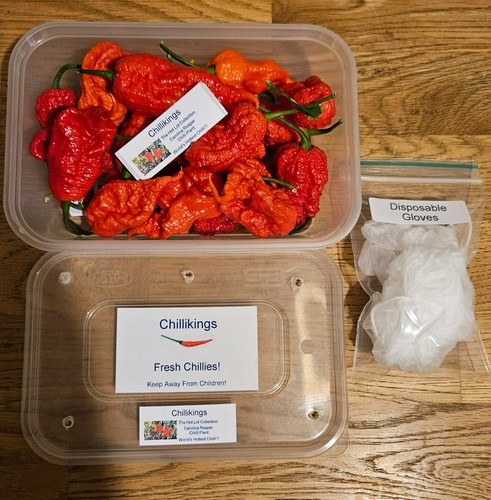 Box 20x fresh - 1x, fresh,