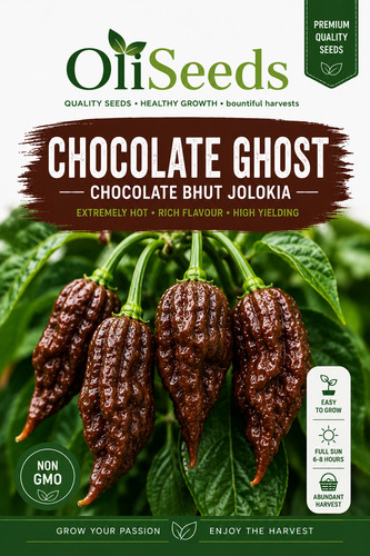 Chocolate naga jolokia - naga, chilli
