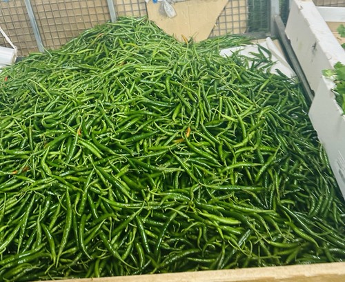 Extra hot green chillies 1kg - green,