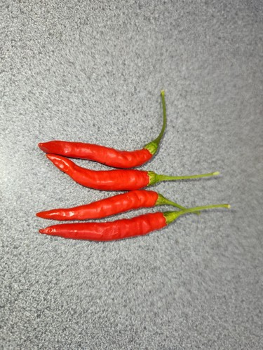 Green chilli seeds - green,