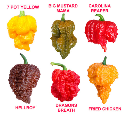 Worlds hottest chilli 18 - chilli,