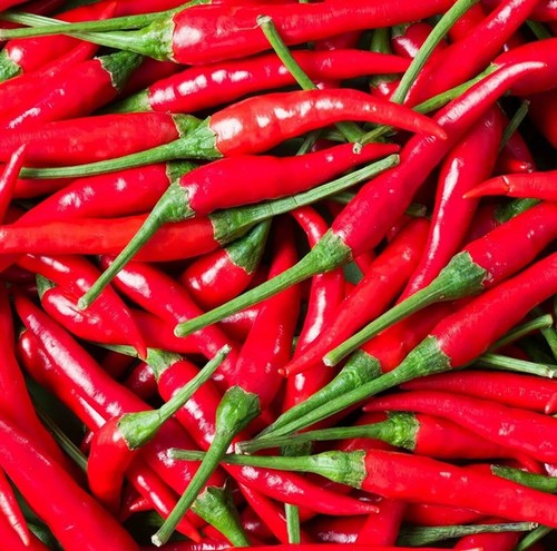 Fresh red birdseye chillies - red,