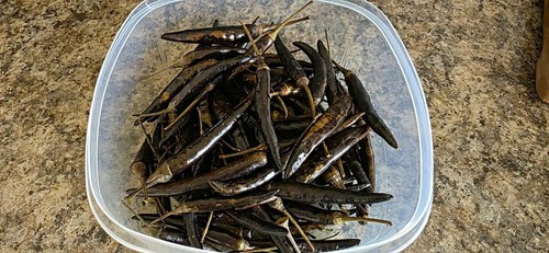 Dehydrated chilli portion - dehydrated, 1