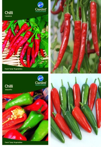 Garden treasures chilli - treasures,