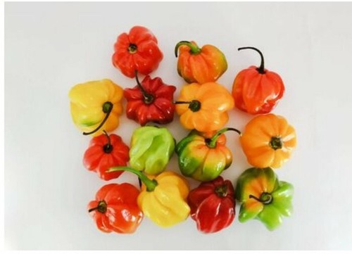 100g scotch bonnet hot - hot, pepper