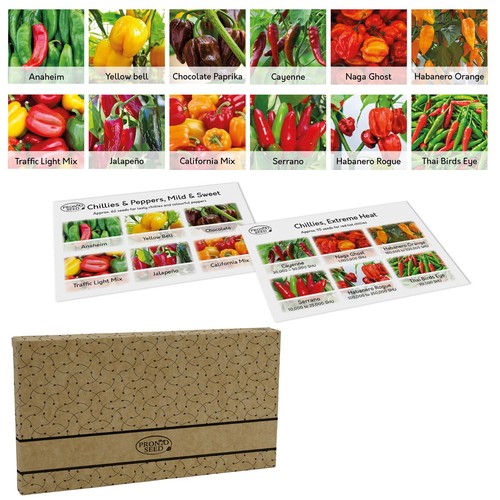 Chilli seeds 12 - |,