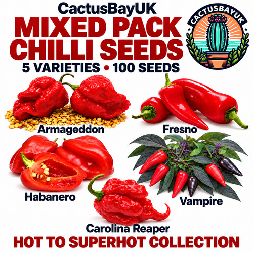 100 chilli seeds varieties - 100, 5