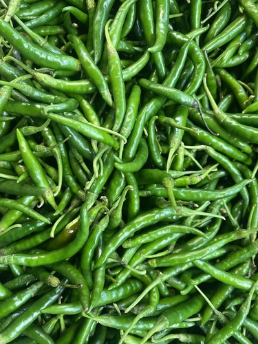 Fresh green finger chillies - green,