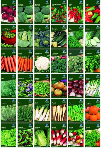 Garden treasures fresh - garden,