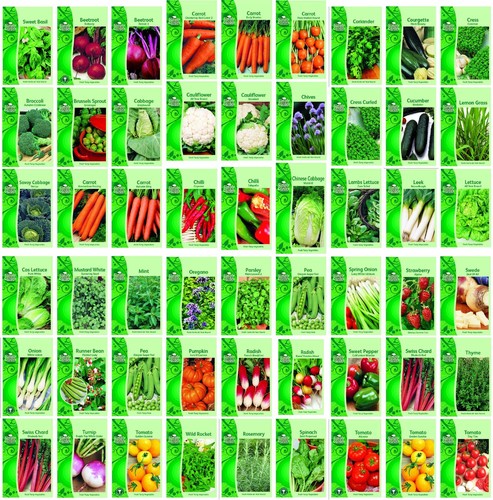 Vegetable seeds herb - seeds,