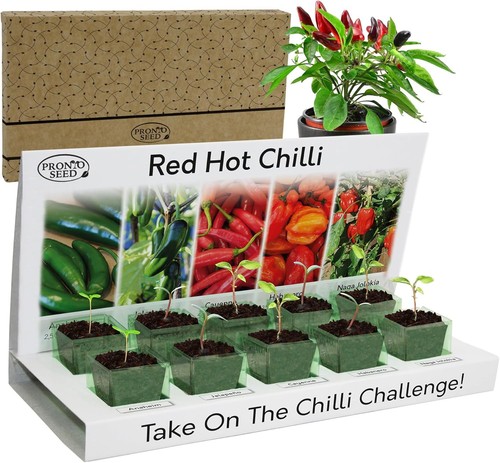 Chilli seeds - chilli,