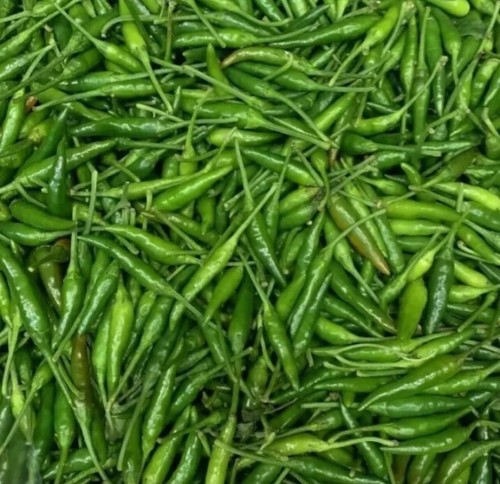 Fresh green birdeye - fresh,