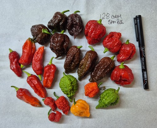 100g chillies xxx hot - chillies,