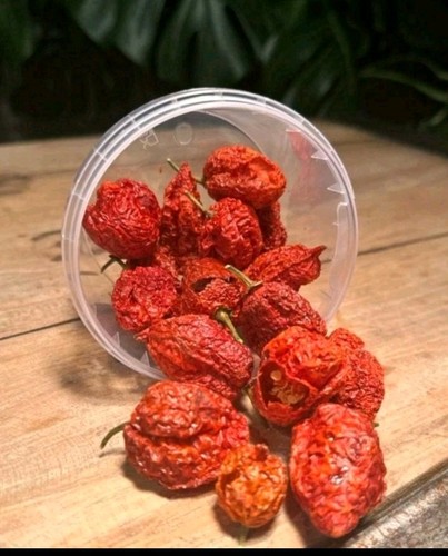 Tub dried carolina reaper - carolina,