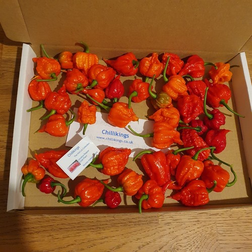100g fresh small medium - 100g, small/medium